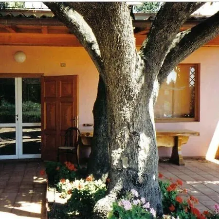Villa Capo D'arco Porto Azzurro