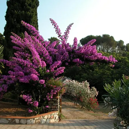 Capo D'arco Villa *